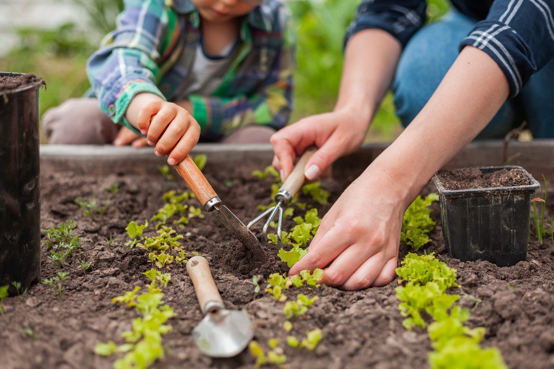 Gardening teaches patience and reduces anxiety.