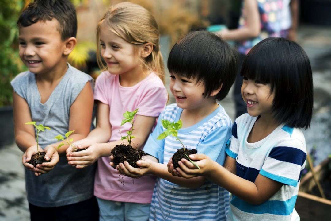 Kids holding plants and soil in their hands